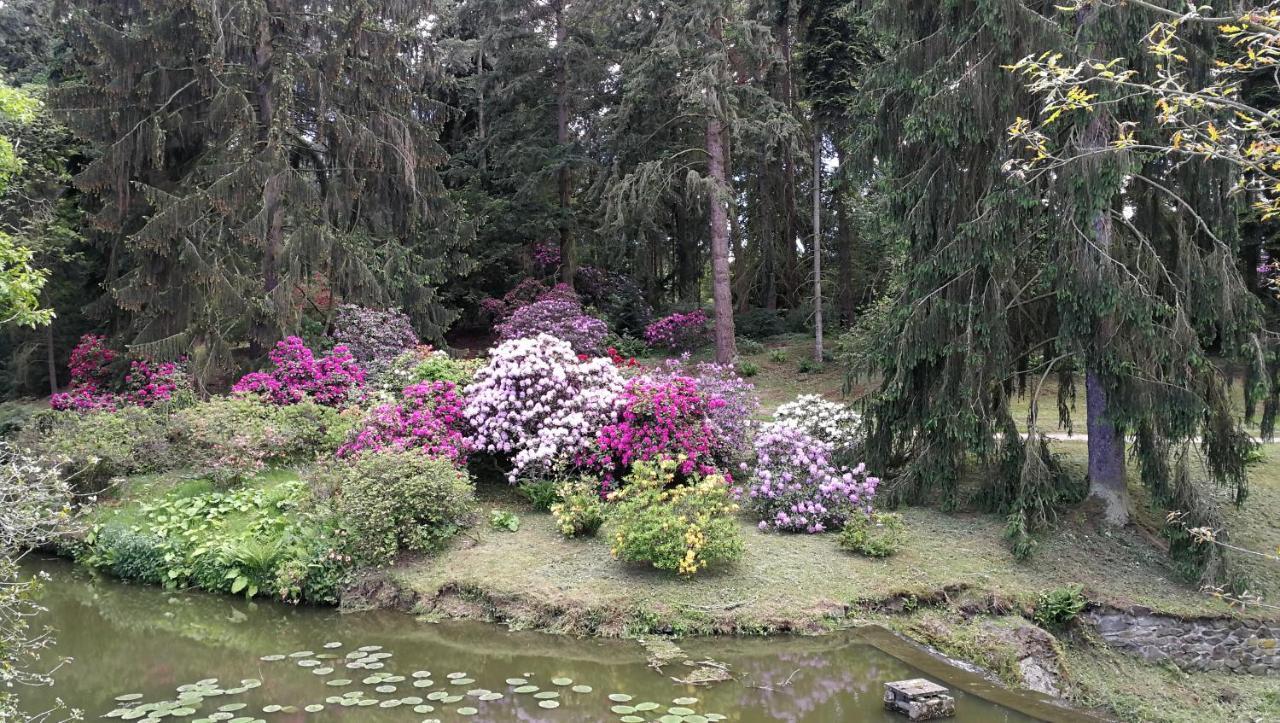 Tulipan 3* Průhonice